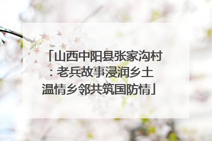 山西中阳县张家沟村：老兵故事浸润乡土 温情乡邻共筑国防情