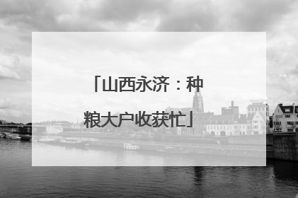 山西永济：种粮大户收获忙