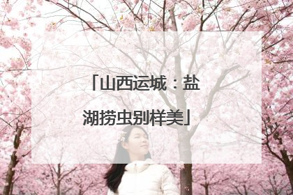 山西运城：盐湖捞虫别样美
