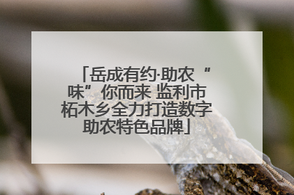 岳成有约·助农“味”你而来 监利市柘木乡全力打造数字助农特色品牌