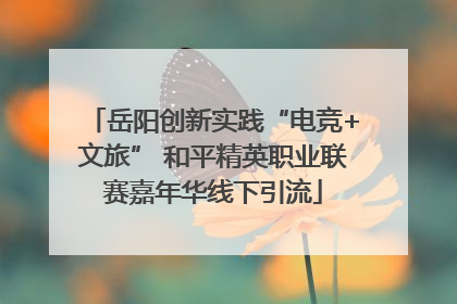 岳阳创新实践“电竞+文旅” 和平精英职业联赛嘉年华线下引流