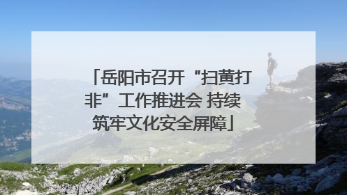 岳阳市召开“扫黄打非”工作推进会 持续筑牢文化安全屏障