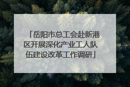 岳阳市总工会赴新港区开展深化产业工人队伍建设改革工作调研