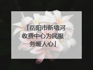 岳阳市新墙河收费中心为民服务暖人心