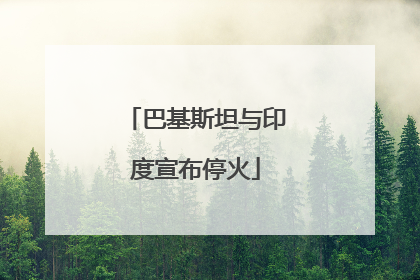 巴基斯坦与印度宣布停火