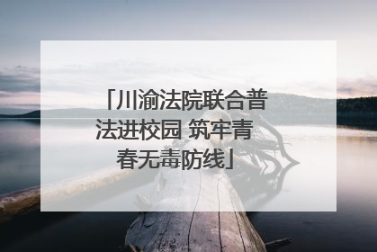 川渝法院联合普法进校园 筑牢青春无毒防线