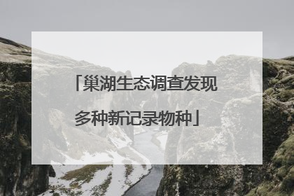 巢湖生态调查发现多种新记录物种
