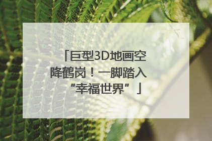 巨型3D地画空降鹤岗！一脚踏入“幸福世界”
