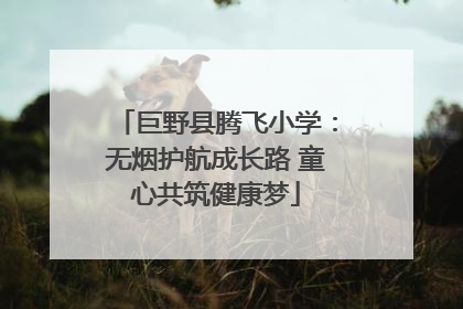 巨野县腾飞小学：无烟护航成长路 童心共筑健康梦