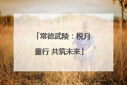 常德武陵：税月童行 共筑未来
