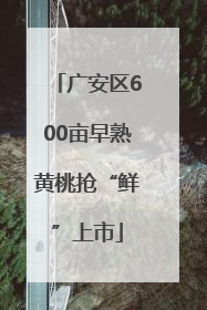 广安区600亩早熟黄桃抢“鲜”上市