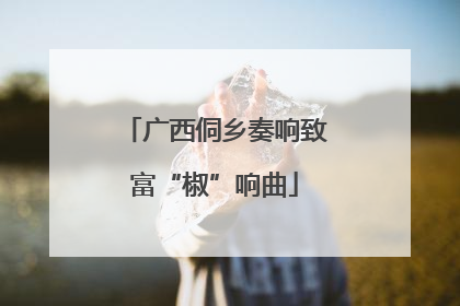 广西侗乡奏响致富“椒”响曲
