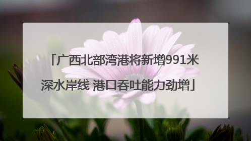 广西北部湾港将新增991米深水岸线 港口吞吐能力劲增