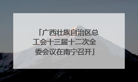 广西壮族自治区总工会十三届十二次全委会议在南宁召开