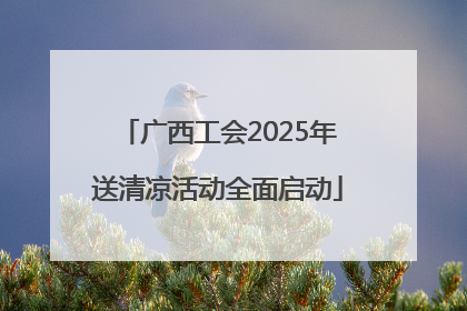 广西工会2025年送清凉活动全面启动