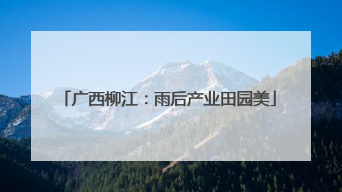 广西柳江：雨后产业田园美