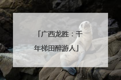 广西龙胜：千年梯田醉游人