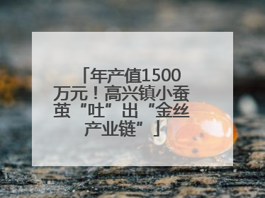 年产值1500万元！高兴镇小蚕茧“吐”出“金丝产业链”