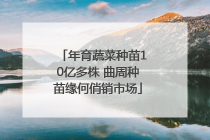 年育蔬菜种苗10亿多株 曲周种苗缘何俏销市场