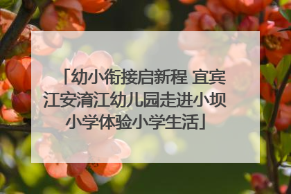 幼小衔接启新程 宜宾江安淯江幼儿园走进小坝小学体验小学生活