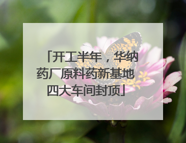 开工半年，华纳药厂原料药新基地四大车间封顶