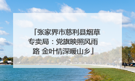 张家界市慈利县烟草专卖局：党旗映照风雨路 金叶情深暖山乡