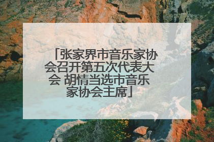 张家界市音乐家协会召开第五次代表大会 胡情当选市音乐家协会主席
