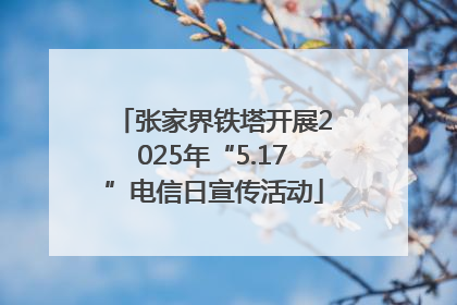 张家界铁塔开展2025年“5.17”电信日宣传活动
