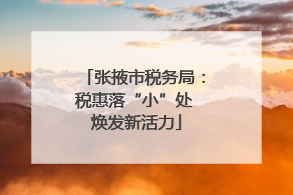张掖市税务局：税惠落“小”处 焕发新活力