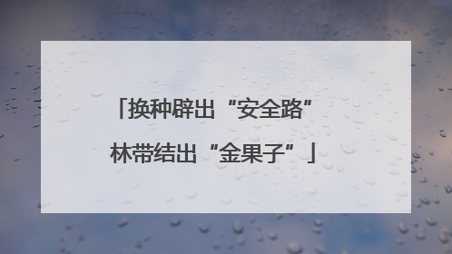 换种辟出“安全路” 林带结出“金果子”