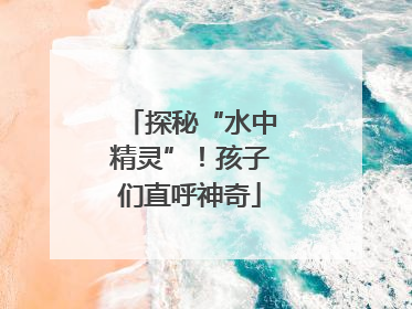 探秘“水中精灵”！孩子们直呼神奇