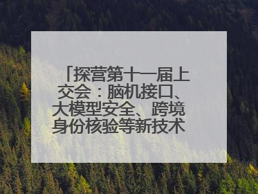 探营第十一届上交会：脑机接口、大模型安全、跨境身份核验等新技术将悉数亮相