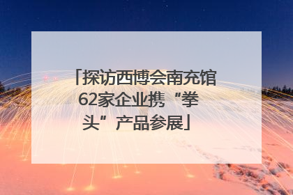 探访西博会南充馆 62家企业携“拳头”产品参展
