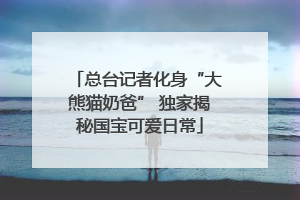 总台记者化身“大熊猫奶爸” 独家揭秘国宝可爱日常