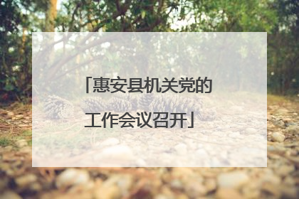 惠安县机关党的工作会议召开