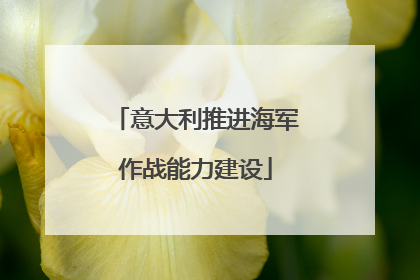 意大利推进海军作战能力建设