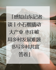 感知山东记者谈丨小石榴撬动大产业 枣庄破局乡村发展难题 书写乡村共富答卷