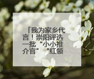 我为家乡代言！崇阳评选一批“小小推介官”“红领巾讲解员”