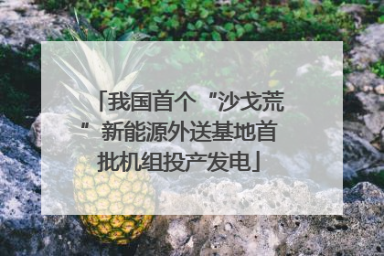 我国首个“沙戈荒”新能源外送基地首批机组投产发电