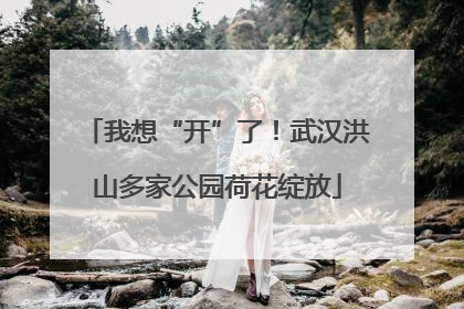 我想“开”了！武汉洪山多家公园荷花绽放