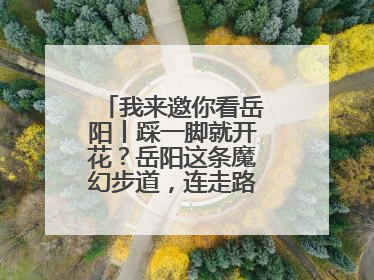 我来邀你看岳阳丨踩一脚就开花？岳阳这条魔幻步道，连走路都变得好玩！