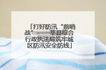 打好防汛“前哨战”——莘县综合行政执法局筑牢城区防汛安全防线