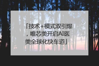 技术+模式双引爆，唯芯美开启AI医美全球化快车道
