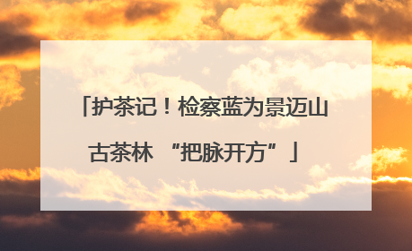 护茶记！检察蓝为景迈山古茶林 “把脉开方”