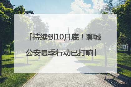 持续到10月底！聊城公安夏季行动已打响