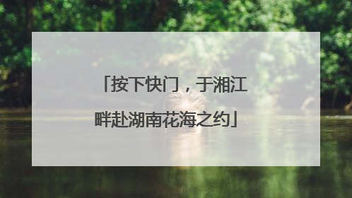 按下快门，于湘江畔赴湖南花海之约