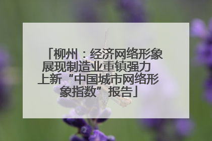 柳州：经济网络形象展现制造业重镇强力 上新“中国城市网络形象指数”报告