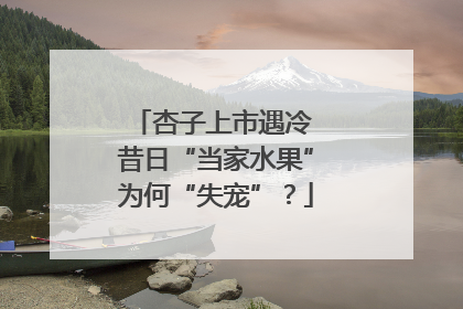 杏子上市遇冷 昔日“当家水果”为何“失宠”？