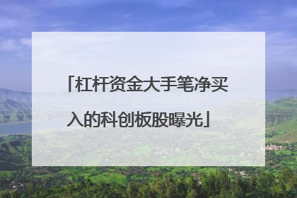 杠杆资金大手笔净买入的科创板股曝光