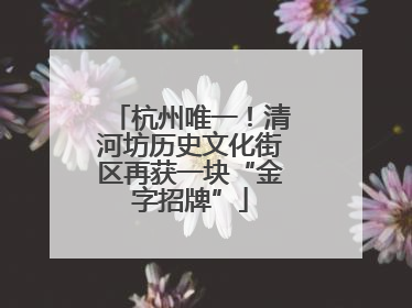 杭州唯一！清河坊历史文化街区再获一块“金字招牌”